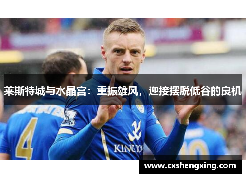 莱斯特城与水晶宫:重振雄风,迎接摆脱低谷的良机 莱斯特城与水晶宫:重振雄风,迎接摆脱低谷的良机